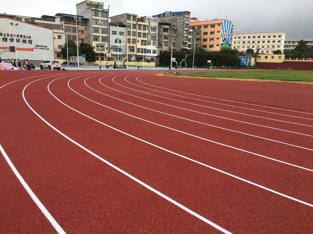佳木斯市塑胶跑道塑胶跑道材料 - 排名